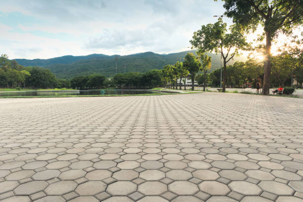 Best Affordable Driveway Pavers  in Ruhenstroth, NV